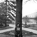 Stuart Peterson Photo 23