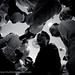 Susan Lim Photo 39