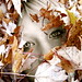 Jennifer Janowski Photo 8