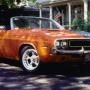 Ron Hendrickson Photo 16