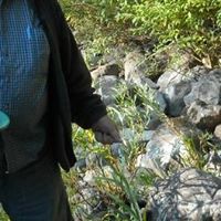 John Kauffman Photo 19