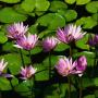 Brenda Matlock Photo 14