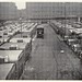 Van Lyons Photo 5
