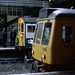 David Busby Photo 16