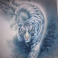 Susan Harkins Photo 26