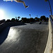 Steven Snyder Photo 56