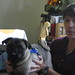 Nancy Ling Photo 14