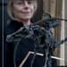 Deborah Edge Photo 12