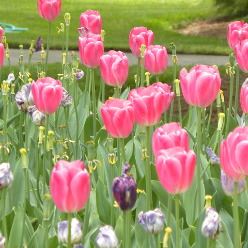 Cathy Helms Photo 2