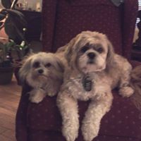 Cody Hicks Photo 10