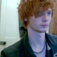 Tom Daily Photo 16