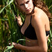 Matthew Blais Photo 4