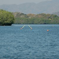Guillermo Moreno Photo 8