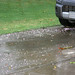 Casey Hail Photo 12