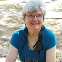 Carol Dodd Photo 10