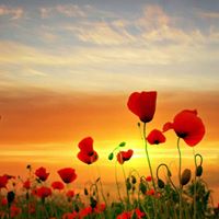 Peggy Harvey Photo 9