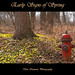 Don Spring Photo 9