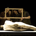 Rob Macpherson Photo 7