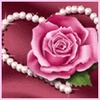Pritesh Shah Photo 31