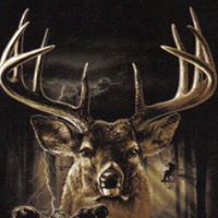 Bryan Hester Photo 27