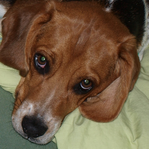 Skip Brown Photo 4