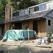 Janet Emmons Photo 5