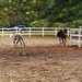 Crystal Briggs Photo 38