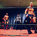 Joey Main Photo 17