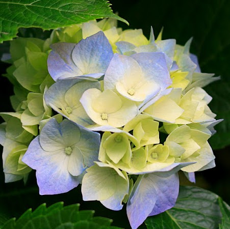 Jeanne Andersen Photo 13