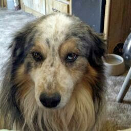 Donna Mercer Photo 11