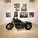 Shawn Wolff Photo 16