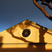 Ora Gray Photo 5