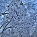 Tammy Branch Photo 14