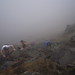 Denise Tunstall Photo 10
