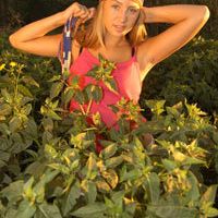 Patricia Sanborn Photo 12