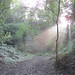 Autumn Pickering Photo 7