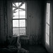 Mary Heney Photo 8