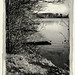 Nellie Allen Photo 13