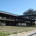 Francine Jackson Photo 40
