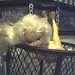 John Underhill Photo 18
