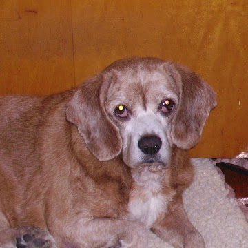 Terry Mathis Photo 37