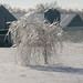 Latonya Winters Photo 13
