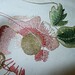 Jane Sample Photo 11