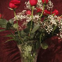 Sheryl Thompson Photo 32