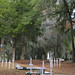 Perry Moss Photo 16