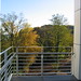 Jean Meier Photo 10