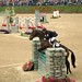 Donna Call Photo 22