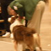 Lynn Moorehead Photo 6