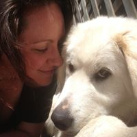 Alison Sadler Photo 8