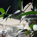 Gregory Luce Photo 11
